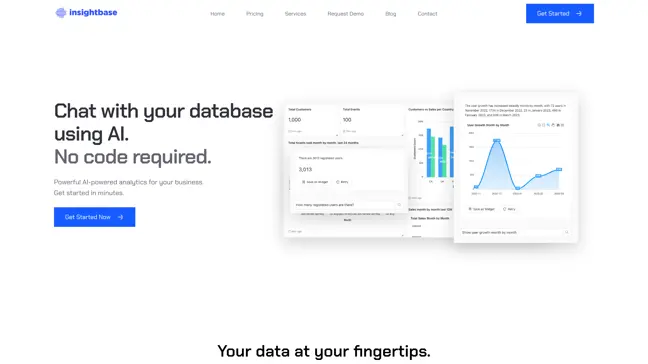 InsightBase - Main Image