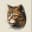 Tabby