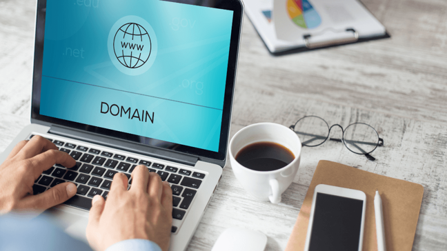 SeekMyDomain - Screenshot 4