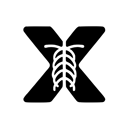 XRayInterpreter