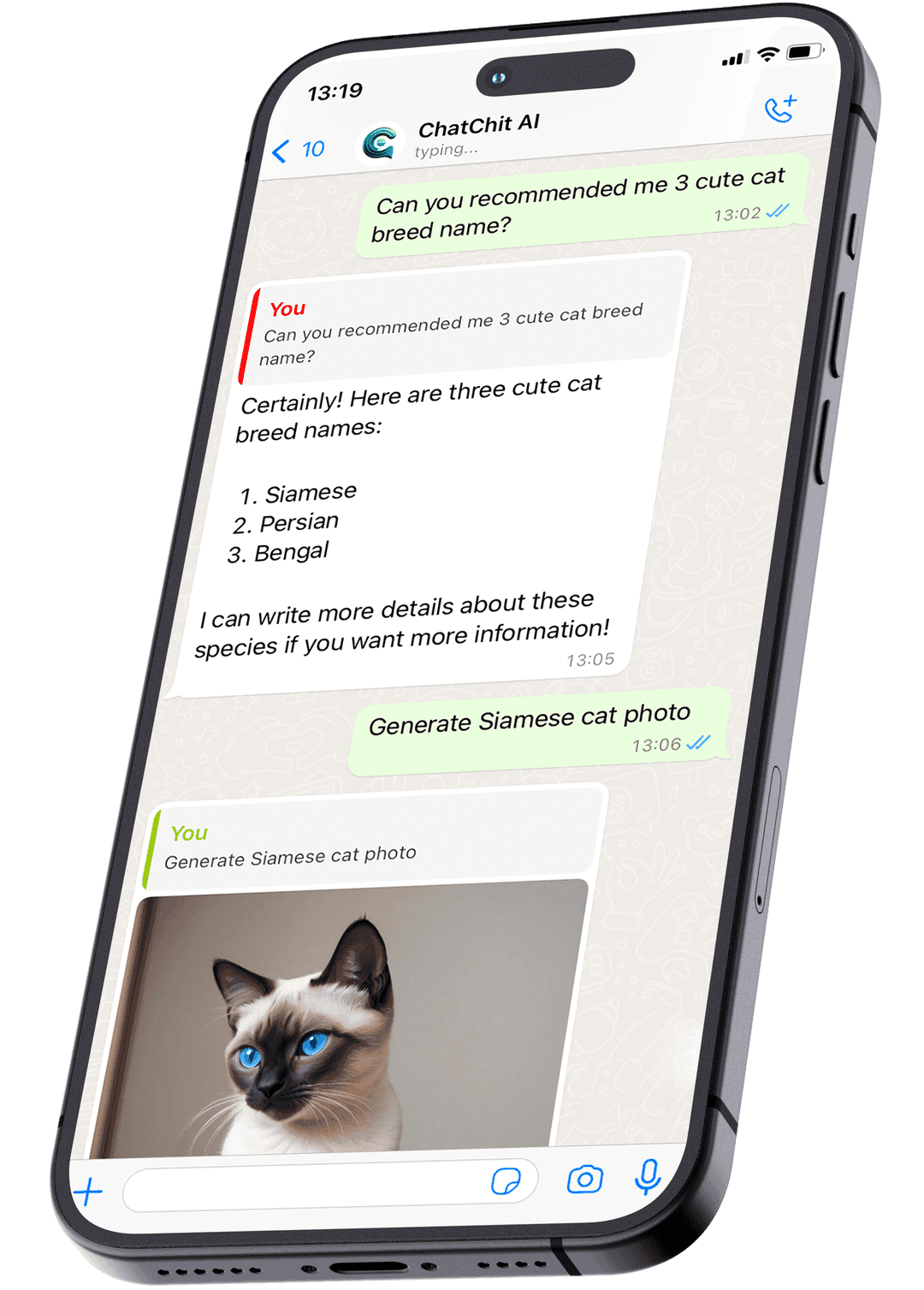 ChatChit AI - Screenshot 3