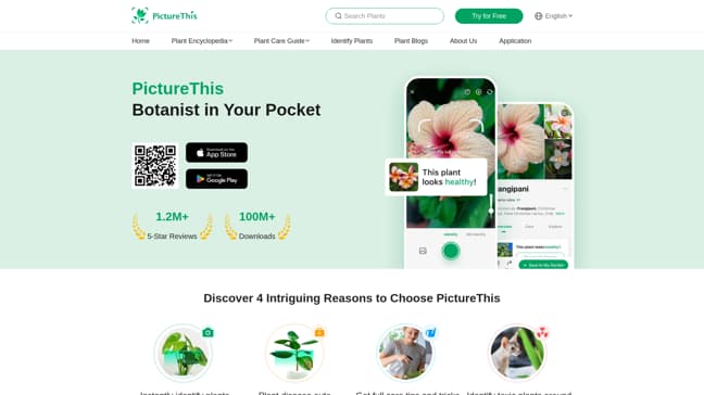 PictureThis - Main Image