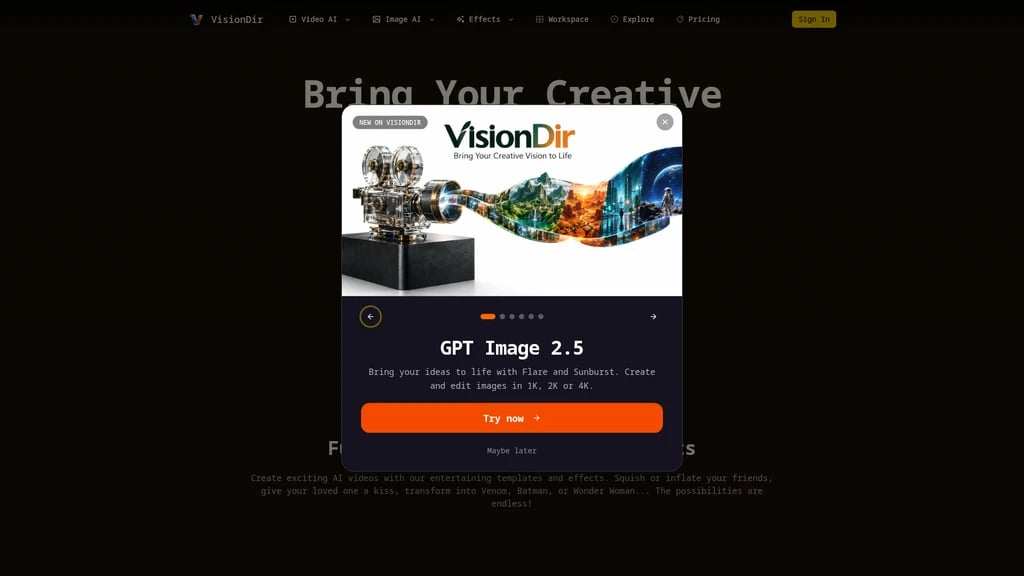 VisionDir - Main Image